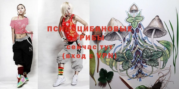 ешки Алексин