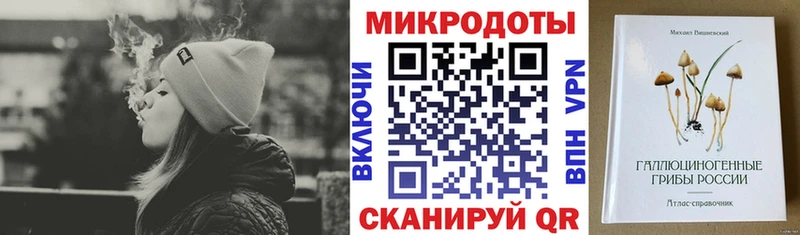 наркошоп  Котельники  Псилоцибиновые грибы Psilocybe 